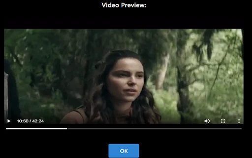 SVD Video Downloader ডাউনলোড করুন – সেরা ভিডিও ডাউনলোডার এক্সটেনশন - Screenshot 2
