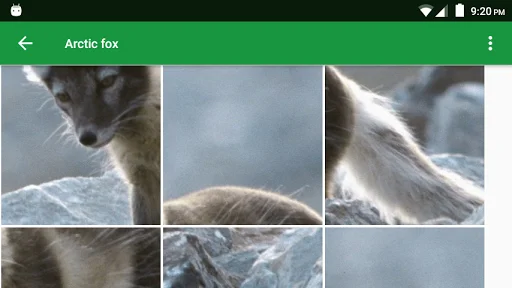 Dogs Puzzle ডাউনলোড করুন – সেরা ডগ পাজল গেম ফ্রি ডাউনলোড - Screenshot 7