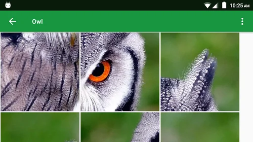 Wild Animals Puzzle ডাউনলোড করুন – বন্যপ্রাণীর মজার পাজল গেম - Screenshot 6