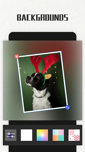 Photo Collage Maker ডাউনলোড করুন – সেরা ফটো এডিটর ও কোলাজ মেকার - Screenshot 21
