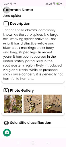 Spider Identifier ডাউনলোড করুন – মাকড়সার নাম শনাক্ত করুন - Screenshot 18