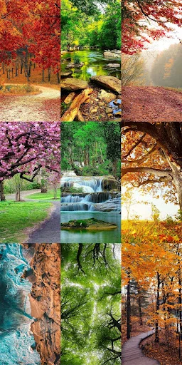 Nature Escape HD Wallpapers ডাউনলোড করুন – সেরা প্রাকৃতিক দৃশ্য - Screenshot 13