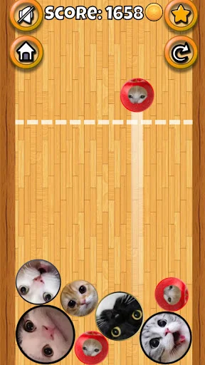 Meme Cat Sim: Cozy Home ডাউনলোড করুন – ভার্চুয়াল বিড়াল ও মজার মিমস - Screenshot 2