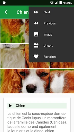 Dogs Puzzle ডাউনলোড করুন – সেরা ডগ পাজল গেম ফ্রি ডাউনলোড - Screenshot 4