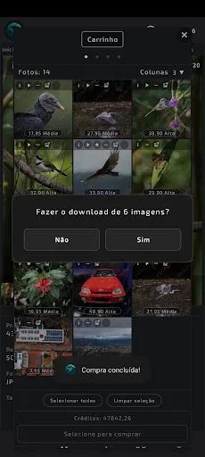 FO Gallery ডাউনলোড করুন – পেশাদার হাই-কোয়ালিটি ছবি সংগ্রহ - Screenshot 10
