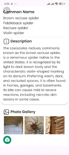Spider Identifier ডাউনলোড করুন – মাকড়সার নাম শনাক্ত করুন - Screenshot 7