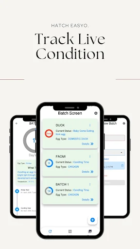 Hatch Easy ডাউনলোড করুন – ডিম ফোটানোর সেরা ইনকিউবেটর অ্যাপ - Screenshot 1