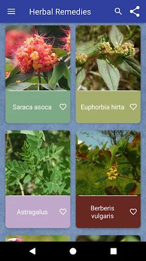 Herbal Remedies ডাউনলোড করুন – ভেষজ উদ্ভিদ ও গুণাগুণ জানুন - Screenshot 1