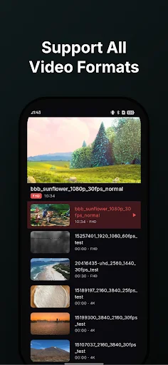 VidMax – প্রাইভেট ভিডিও প্লেয়ার ডাউনলোড করুন – সব ফরম্যাট সাপোর্ট - Screenshot 3
