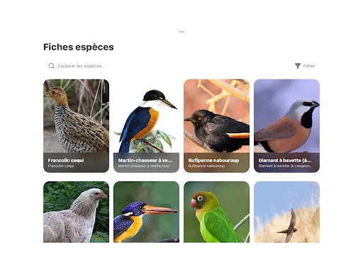 Oiseaux2France ডাউনলোড করুন – পাখি প্রেমীদের জন্য সেরা সামাজিক প্ল্যাটফর্ম - Screenshot 12
