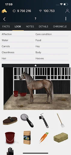 NOBLE HORSE CHAMPION ডাউনলোড করুন – সেরা ফ্রি হর্স গেম - Screenshot 2