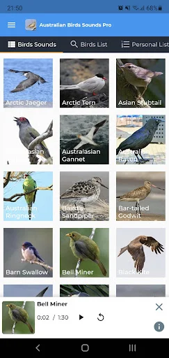 Australian Birds Sounds Pro ডাউনলোড করুন – পাখির ডাক ও গান - Screenshot 1