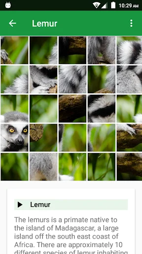 Wild Animals Puzzle ডাউনলোড করুন – বন্যপ্রাণীর মজার পাজল গেম - Screenshot 5
