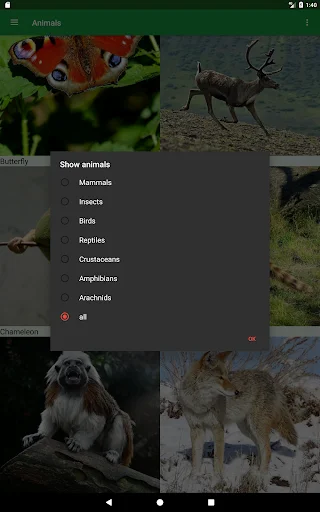 Wild Animals Puzzle ডাউনলোড করুন – বন্যপ্রাণীর মজার পাজল গেম - Screenshot 20
