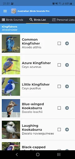 Australian Birds Sounds Pro ডাউনলোড করুন – পাখির ডাক ও গান - Screenshot 4