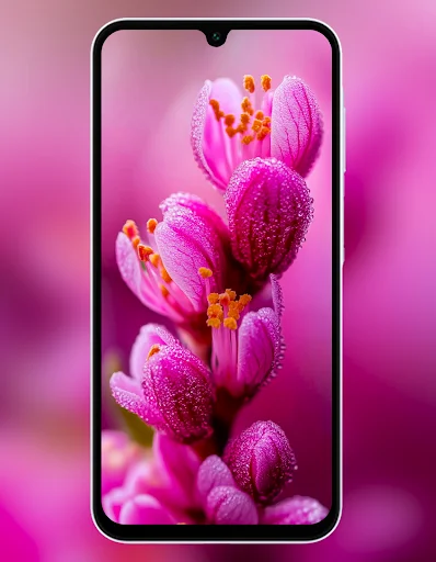 Galaxy A26 5G Wallpaper ডাউনলোড করুন – সেরা HD ওয়ালপেপার - Screenshot 4