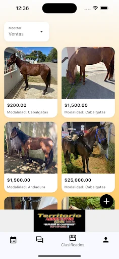Paso a Paso ডাউনলোড করুন – নতুন অশ্বারোহী অভিজ্ঞতা উপভোগ করুন - Screenshot 3