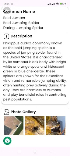 Spider Identifier ডাউনলোড করুন – মাকড়সার নাম শনাক্ত করুন - Screenshot 12