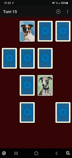 Memory Match Cards ডাউনলোড করুন – স্মৃতিশক্তি বৃদ্ধির সেরা গেম - Screenshot 4