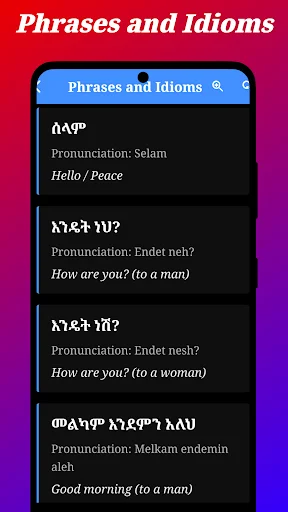 Amharic Translator ডাউনলোড করুন – সেরা আমহারিক অনুবাদক অ্যাপ - Screenshot 7