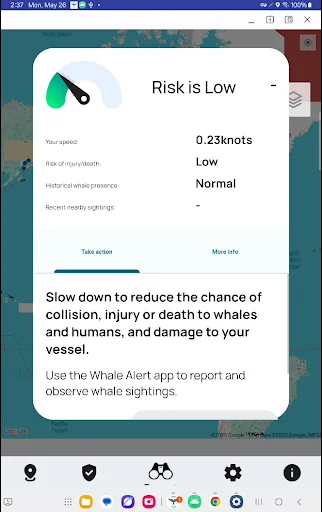 Whale Alert অ্যাপ ডাউনলোড করুন – তিমির অবস্থান ও সুরক্ষা - Screenshot 10