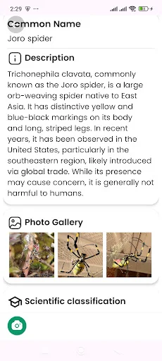 Spider Identifier ডাউনলোড করুন – মাকড়সার নাম শনাক্ত করুন - Screenshot 11