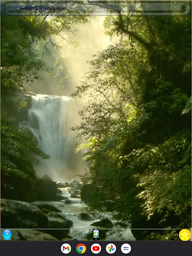 Forest GIF Wallpaper ডাউনলোড করুন – সেরা লাইভ ওয়ালপেপার ও GIF - Screenshot 13