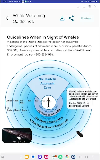 Whale Alert অ্যাপ ডাউনলোড করুন – তিমির অবস্থান ও সুরক্ষা - Screenshot 11